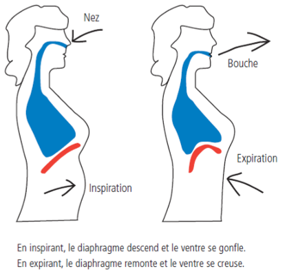 respiration diaphragmatique